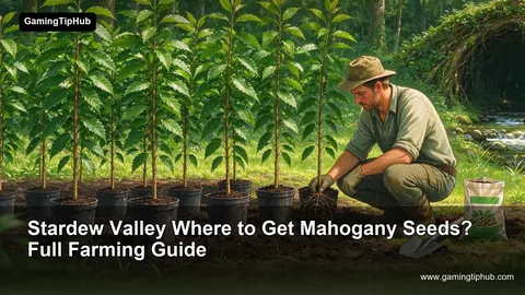 Stardew Valley Where to Get Mahogany Seeds? Full Farming Guide